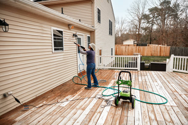 Best Pressure Washing Near Me  in San Pasqual, CA