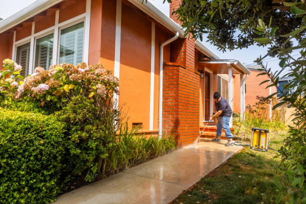 Best Roof Pressure Washing  in San Pasqual, CA