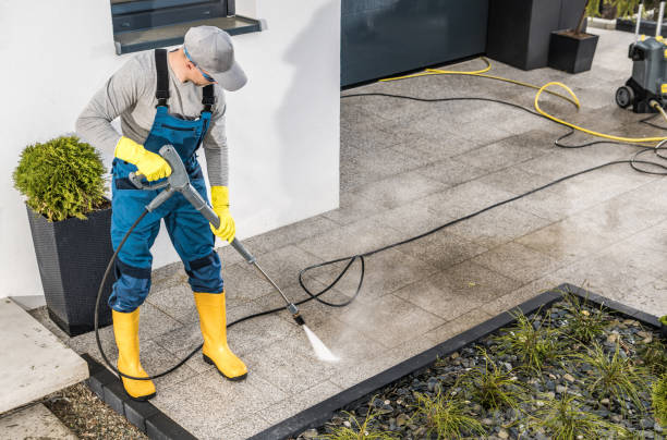 Best Deck Cleaning Services  in San Pasqual, CA