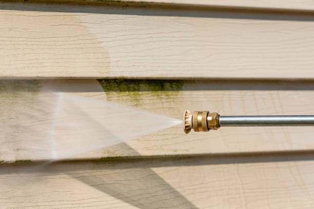 Best Power Washing Near Me  in San Pasqual, CA